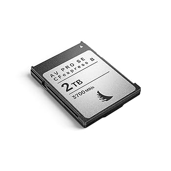 Amazon.com: Angelbird AV PRO SE CFexpress B v4 2 TB